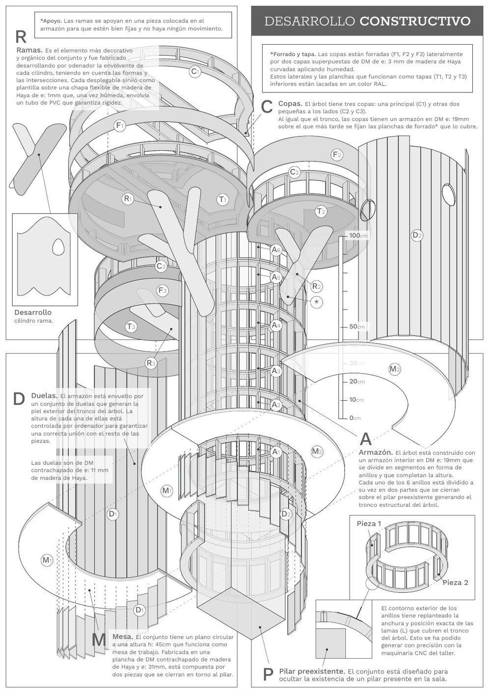 Perspectiva de la estructura del árbol en 3D, con anillos y costillas de madera